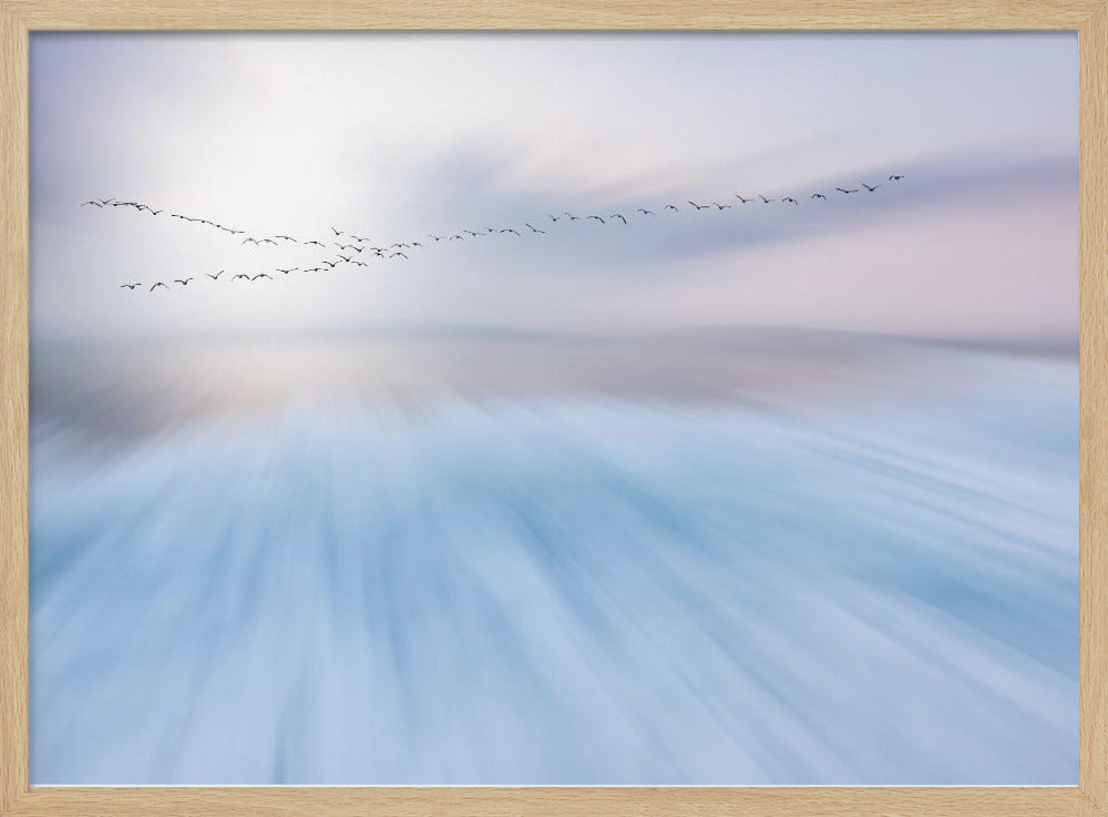 fly over | Poster