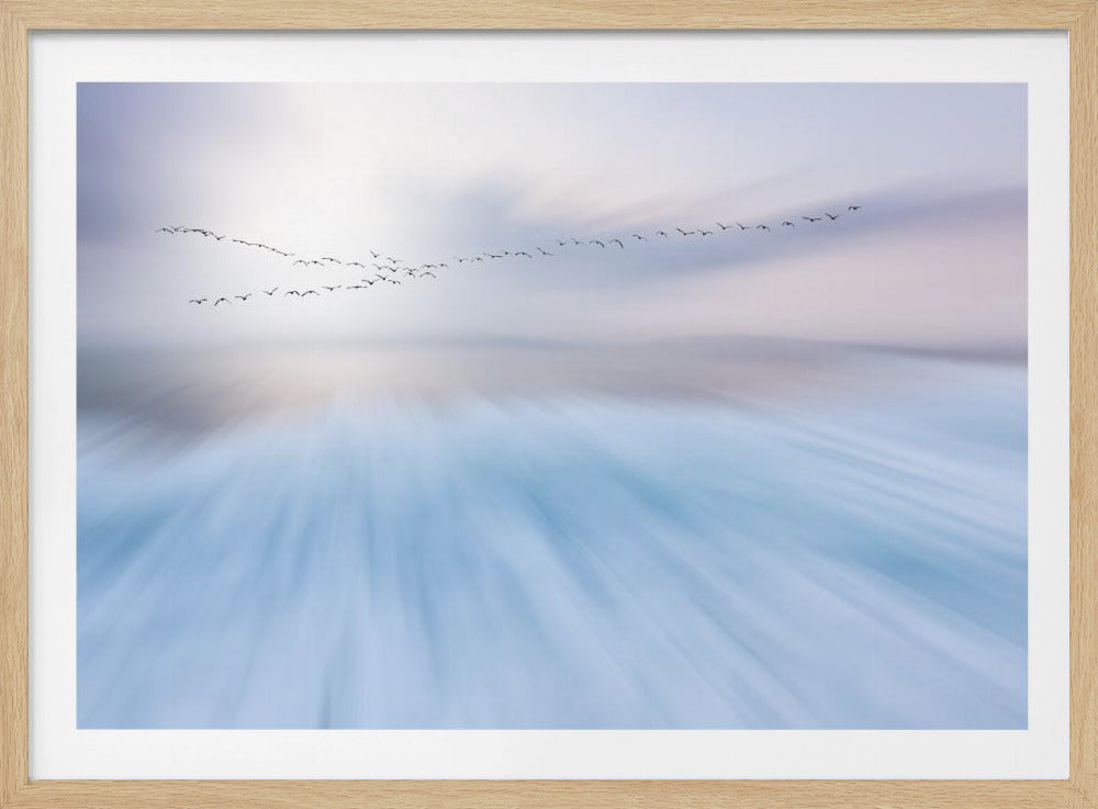 fly over | Poster
