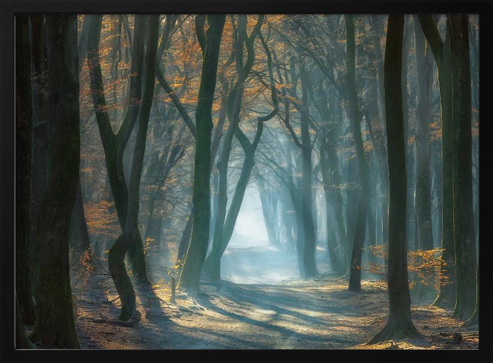 Kaltes Licht | Poster