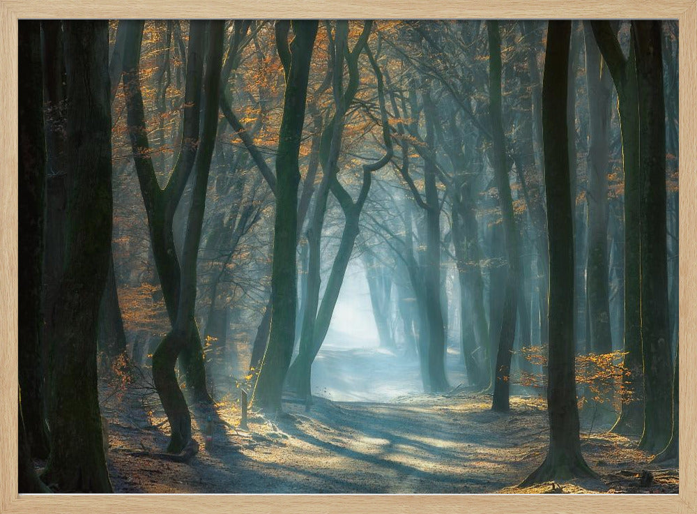 Kaltes Licht | Poster
