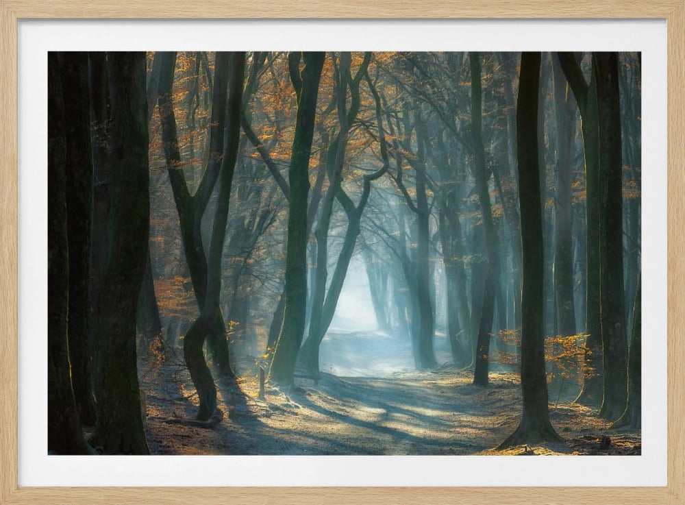 Kaltes Licht | Poster