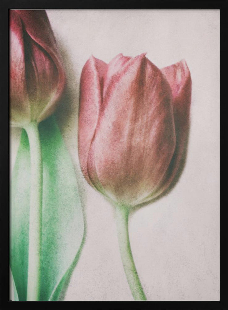 Die Frühlingsliebhaber | Poster