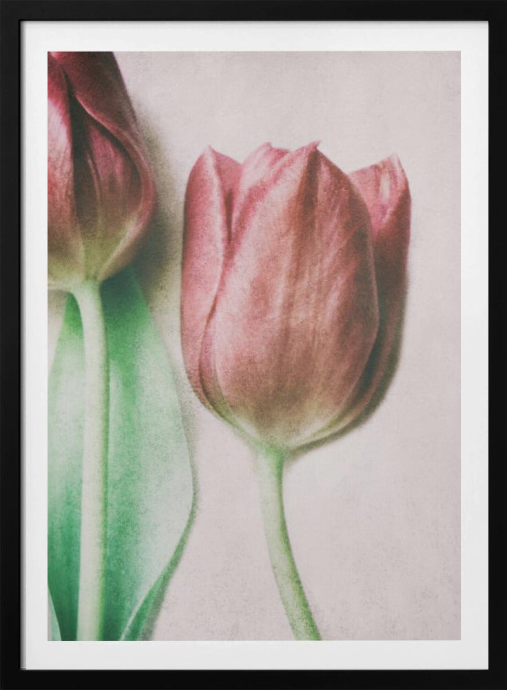 Die Frühlingsliebhaber | Poster