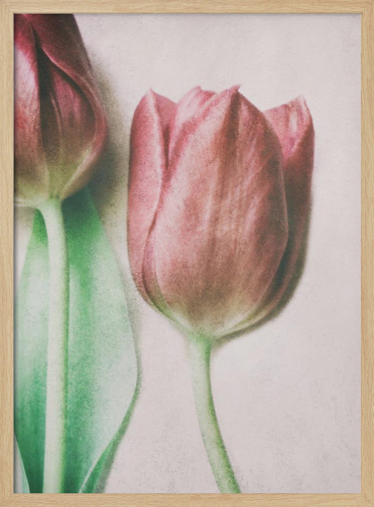 Die Frühlingsliebhaber | Poster