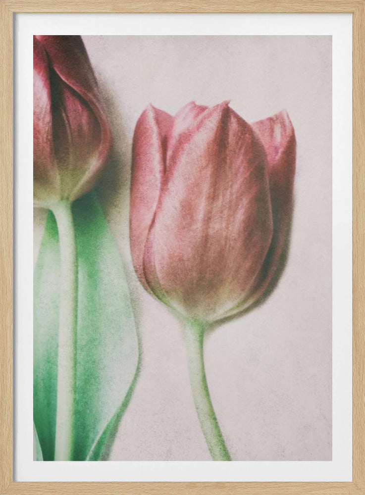 Die Frühlingsliebhaber | Poster