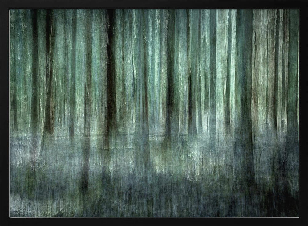 Waldlicht | Poster