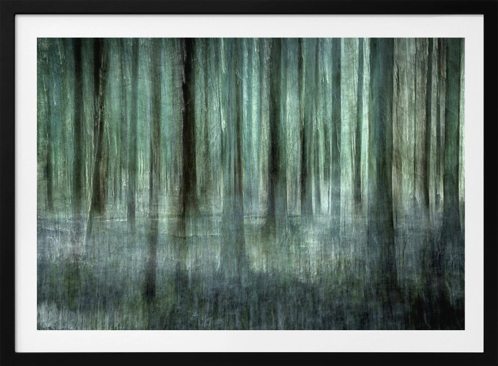 Waldlicht | Poster