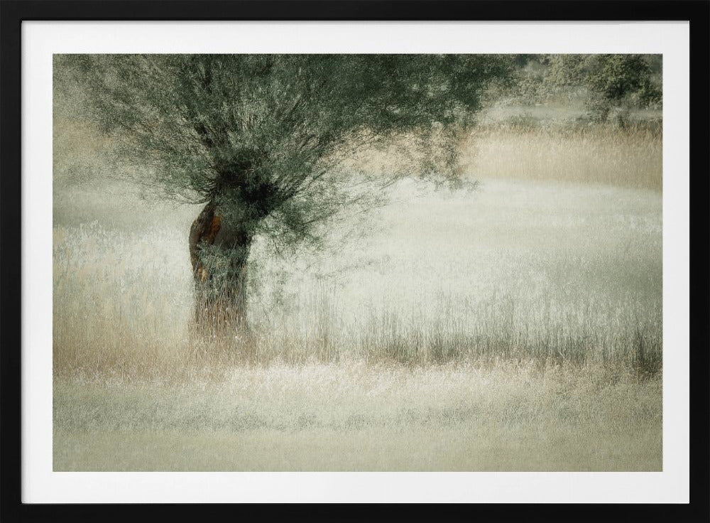 Willow | Poster