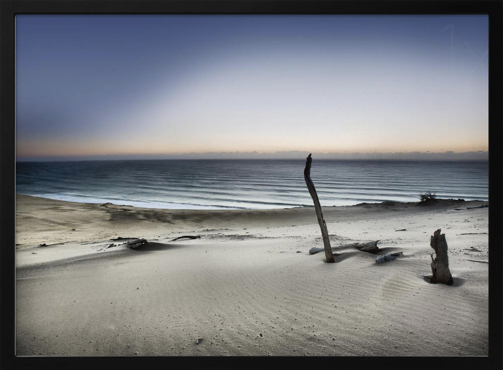 Greif nach der Sonne | Poster