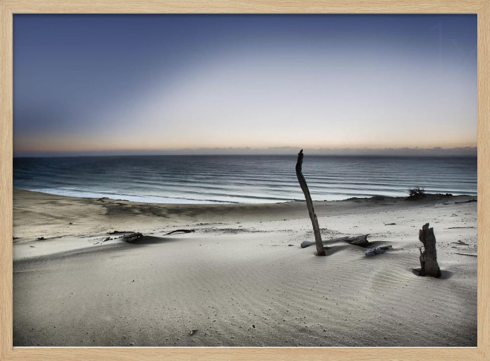 Greif nach der Sonne | Poster