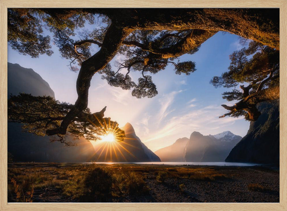 Sonniger Tag im Milford Sound | Poster