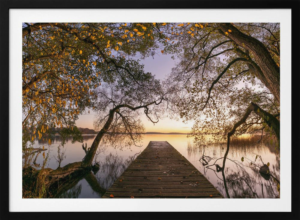 Herbst | Poster