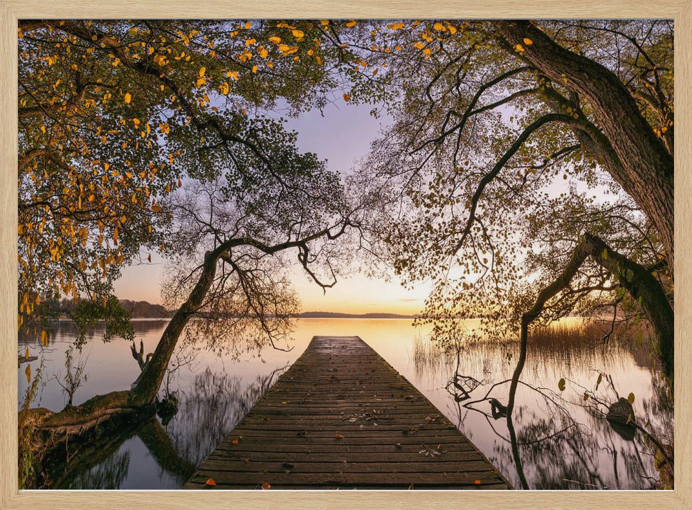 Herbst | Poster