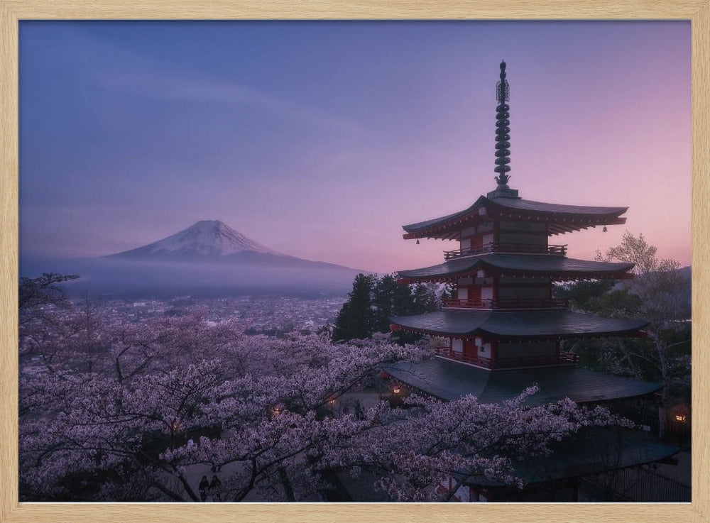 Fuji Sakura | Poster