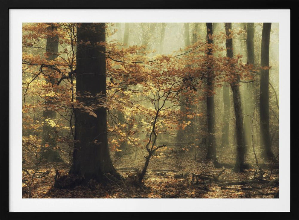 Sanfter Herbst | Poster