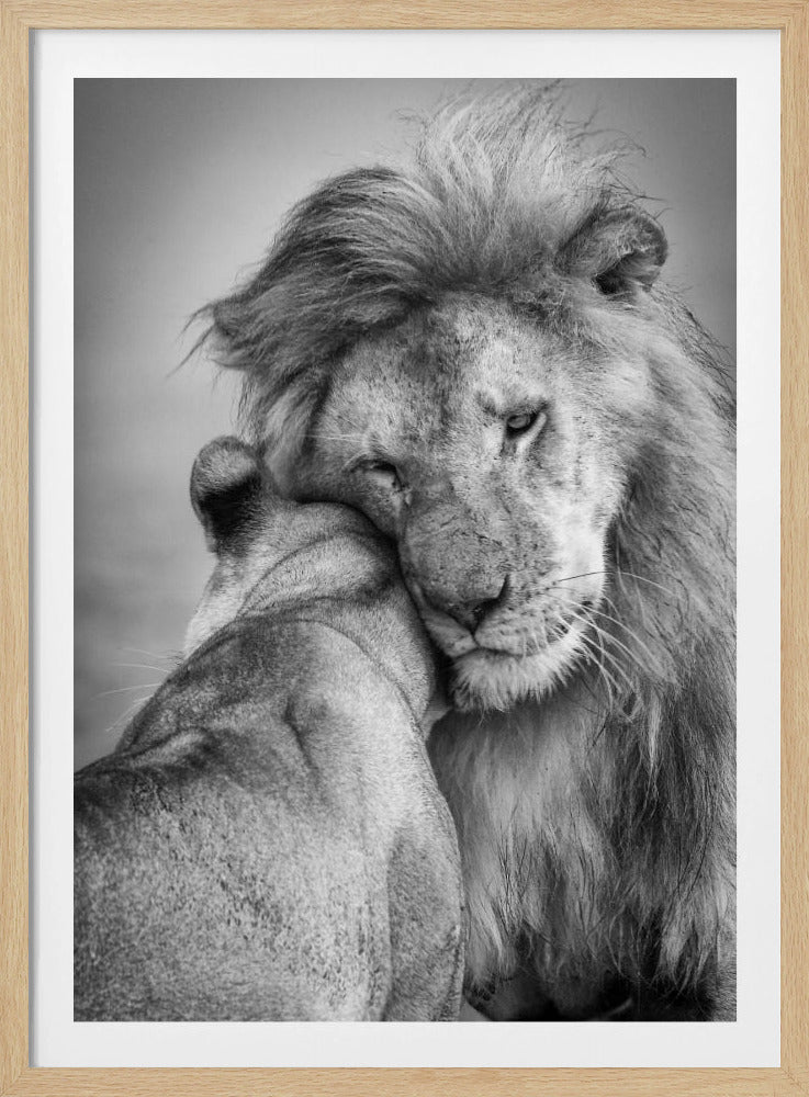 Afrikanische Liebe! | Poster
