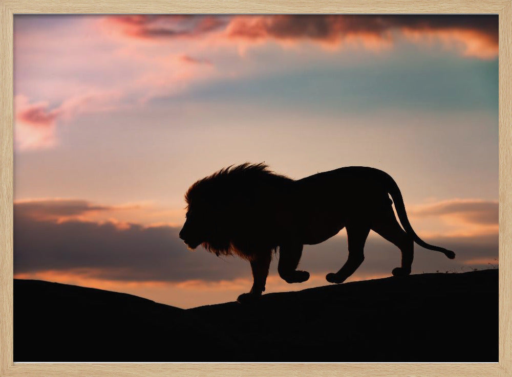 Sonnenuntergang in der Serengeti | Poster