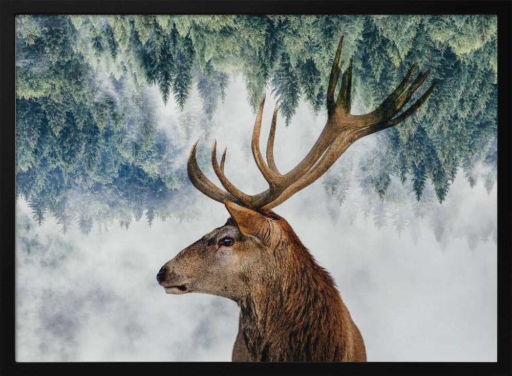 Der Hirsch und der Wald | Poster