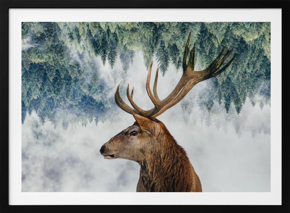 Der Hirsch und der Wald | Poster