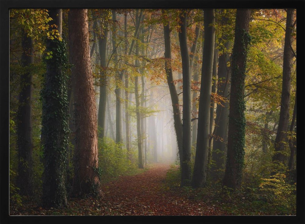 Bunter Herbstwald | Poster