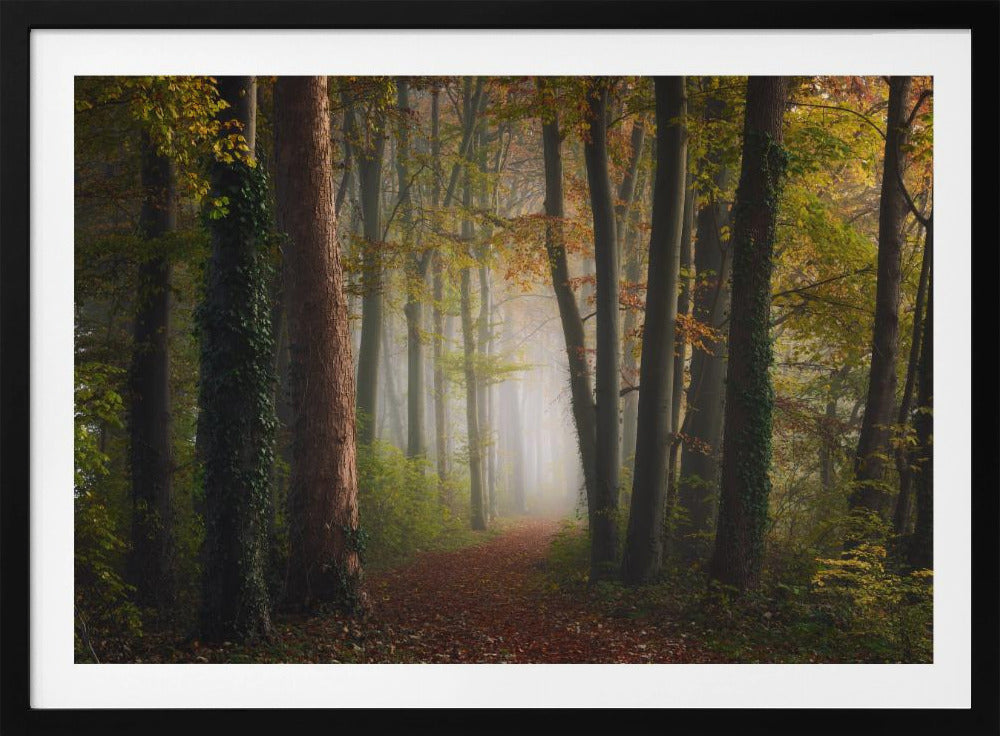 Bunter Herbstwald | Poster