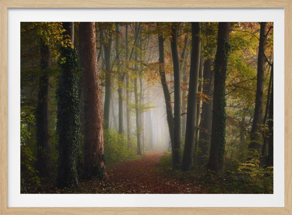Bunter Herbstwald | Poster