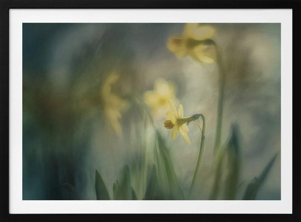 Am Morgen | Poster