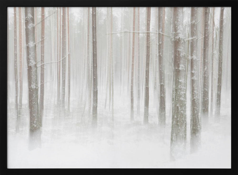 Winterwald in Schweden | Poster