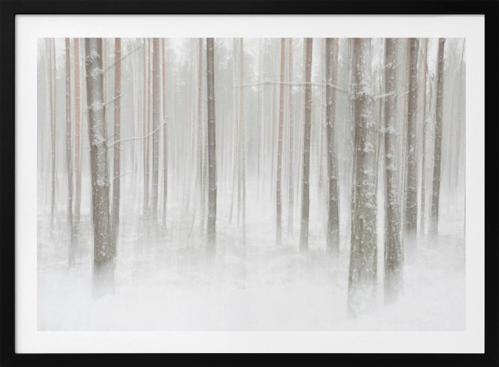 Winterwald in Schweden | Poster