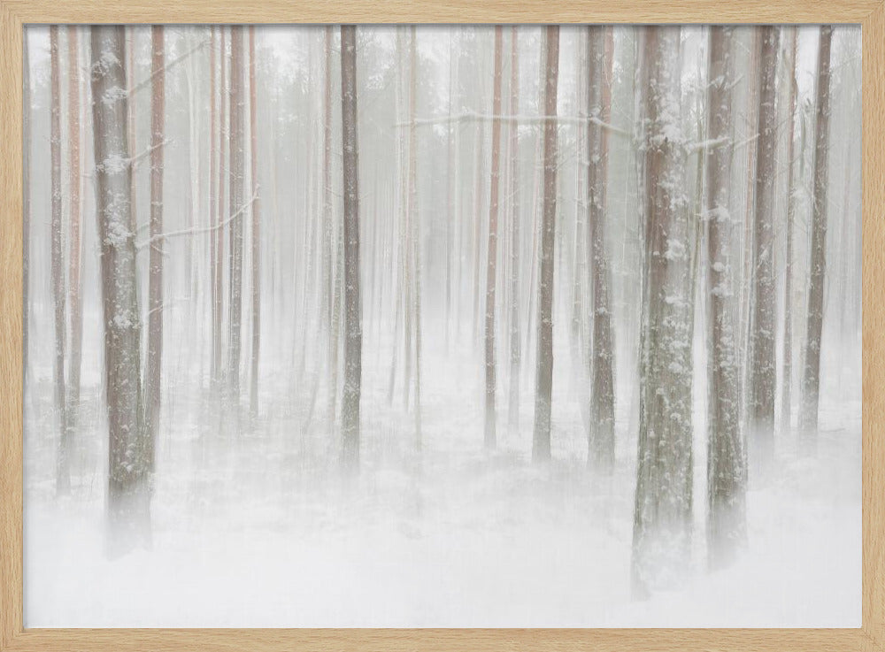 Winterwald in Schweden | Poster