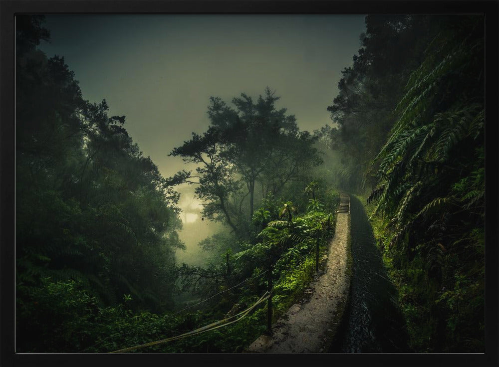 Levada-Wanderung | Poster