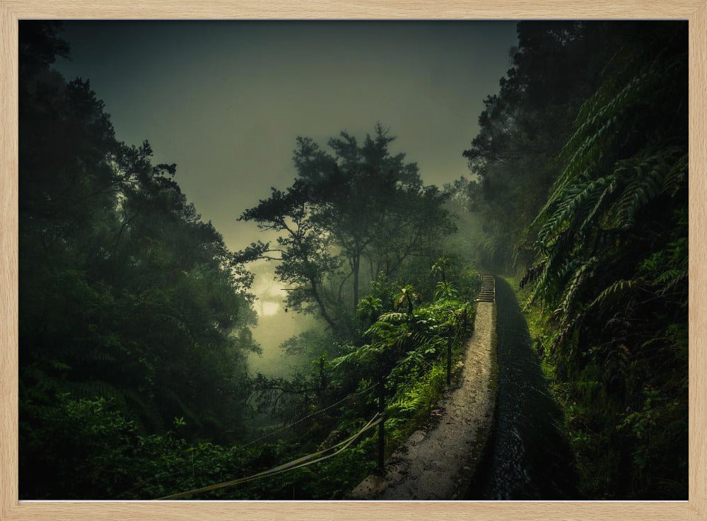 Levada-Wanderung | Poster