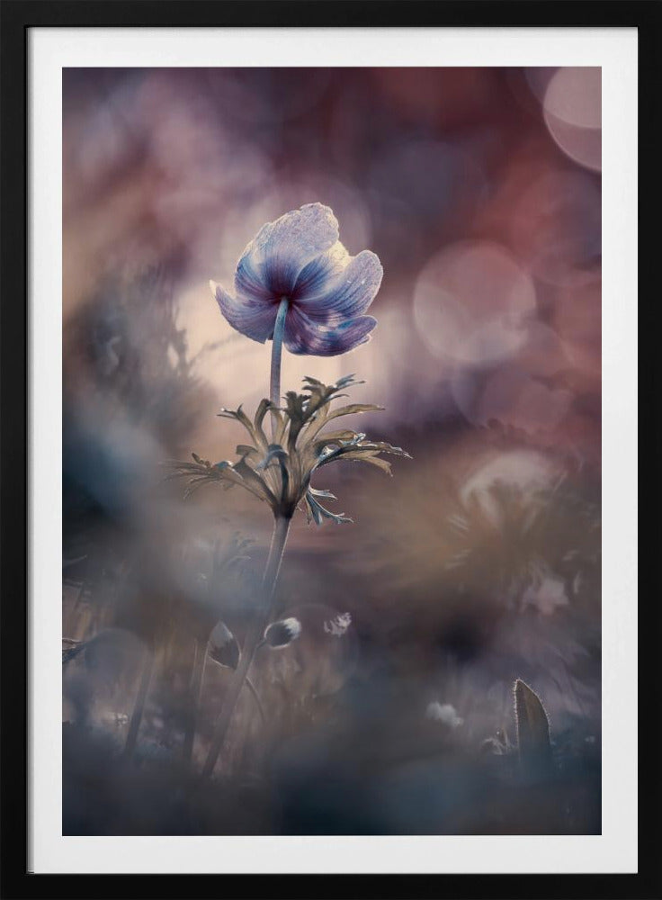 Eine bessere Zukunft | Poster