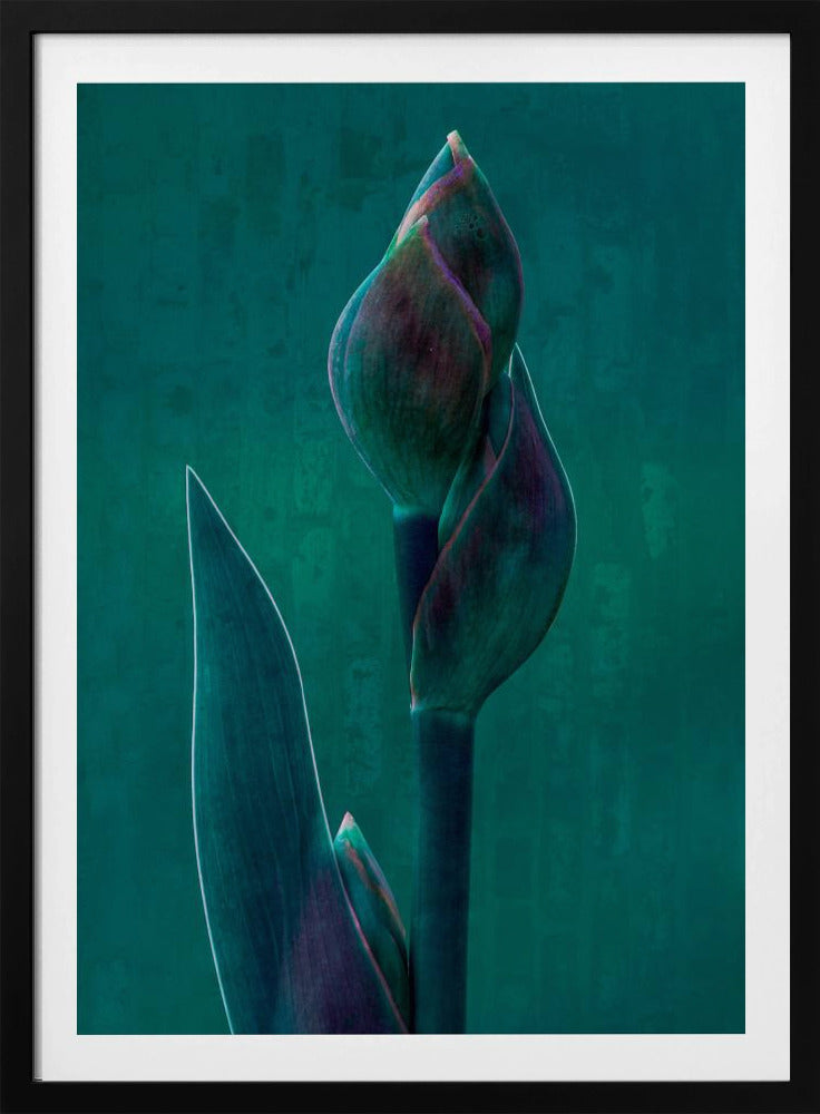 Blue charade. | Poster