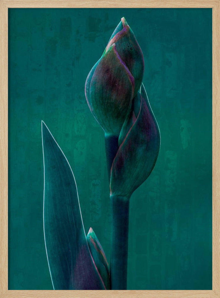 Blue charade. | Poster