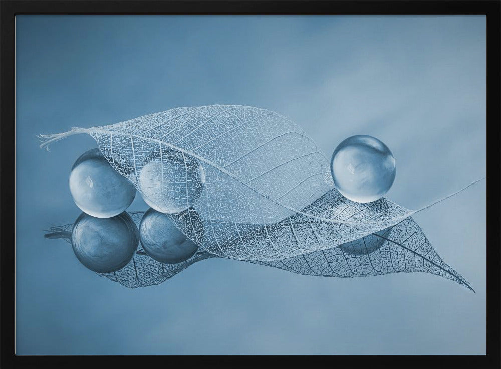 Trockenes Blatt und Blasen | Poster