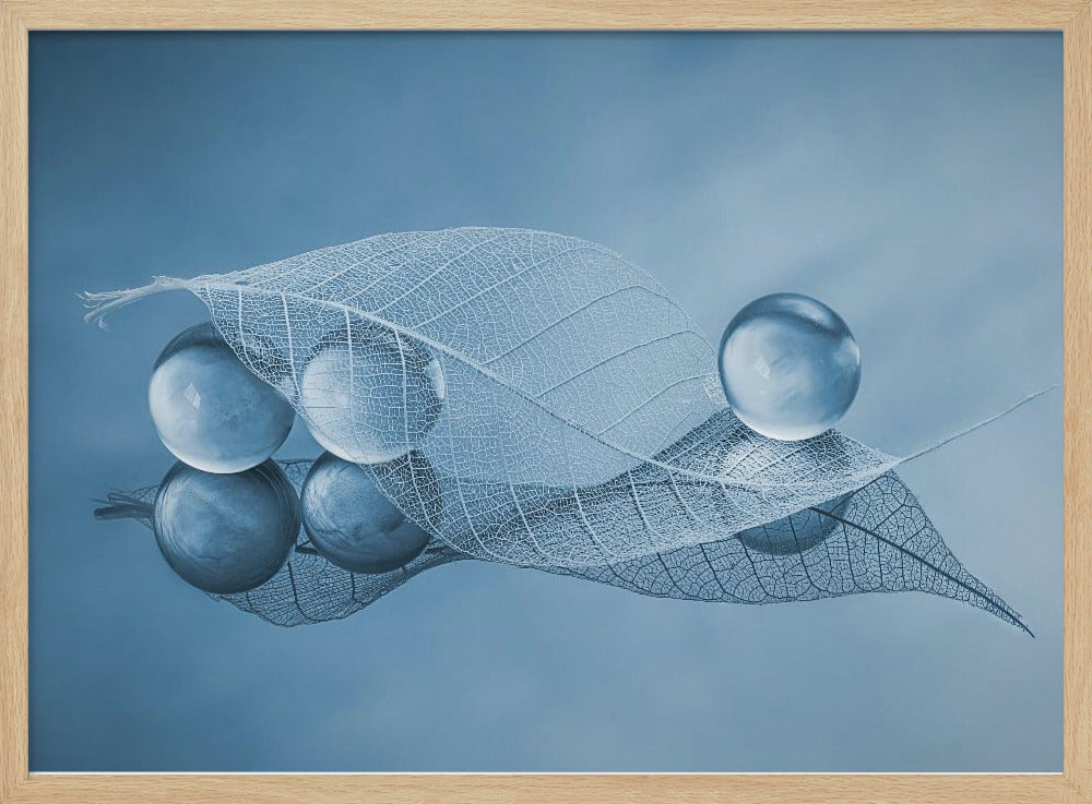 Trockenes Blatt und Blasen | Poster