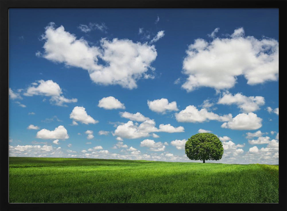 Einsamer Baum | Poster