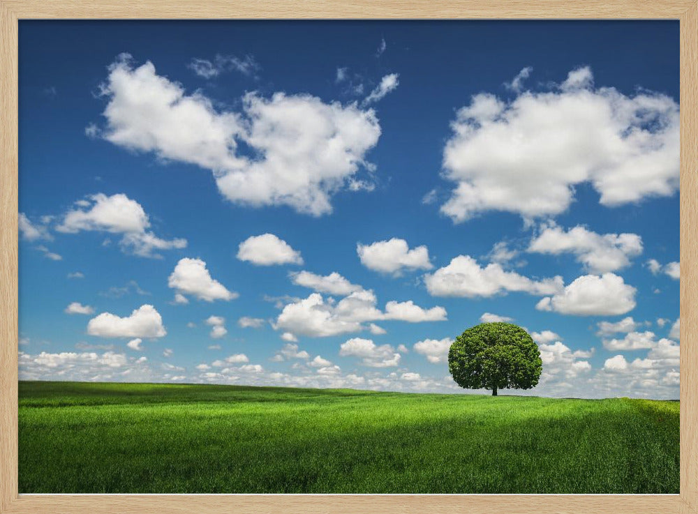 Einsamer Baum | Poster