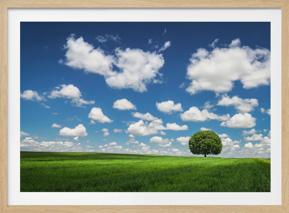 Einsamer Baum | Poster