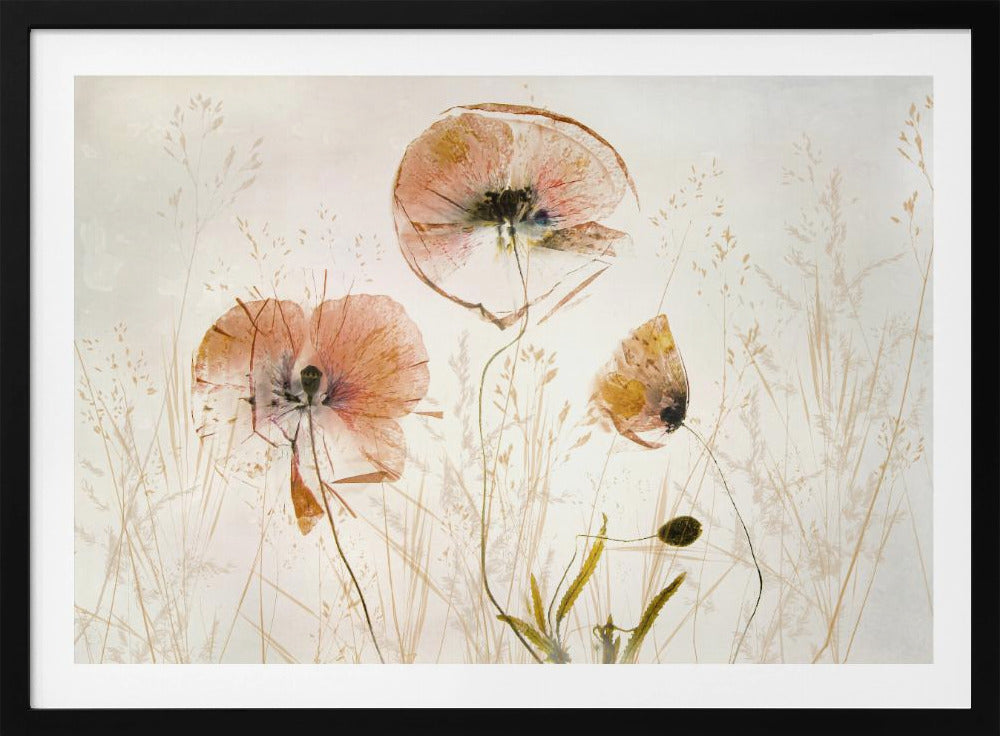 Light and soft | Poster