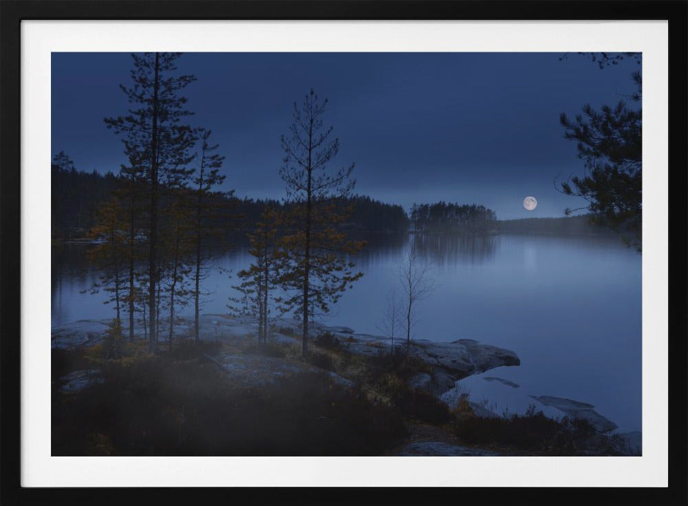 Nachtnebel | Poster
