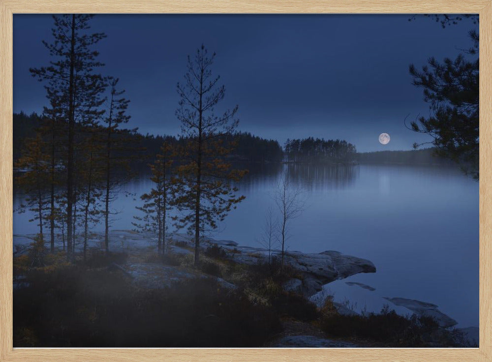 Nachtnebel | Poster