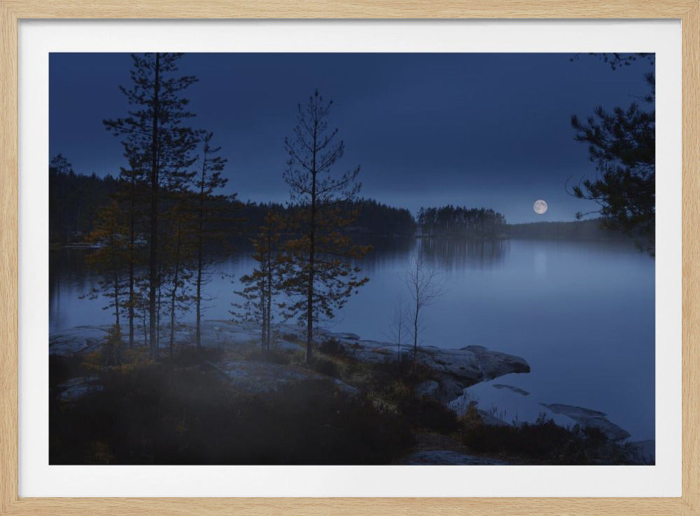 Nachtnebel | Poster