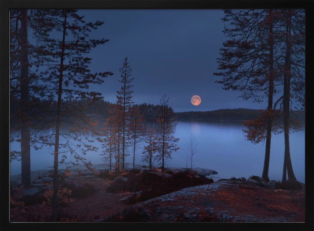 Roter Mond | Poster
