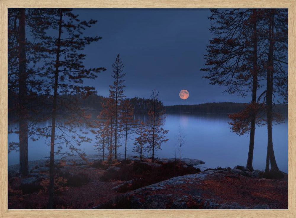 Roter Mond | Poster