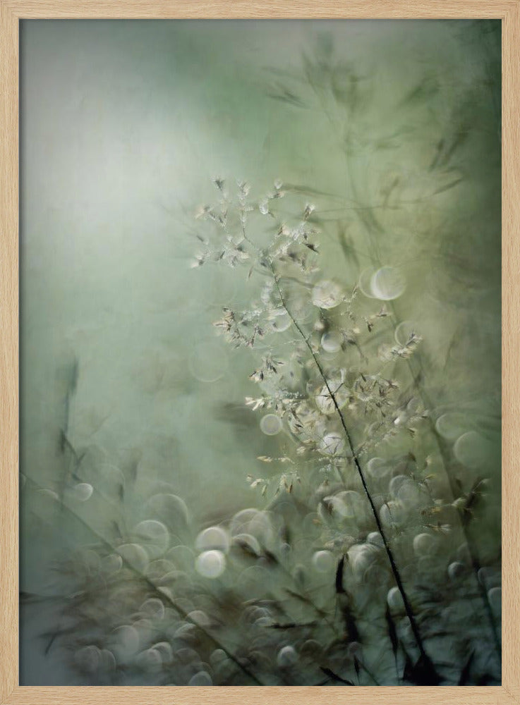 Grasses | Poster
