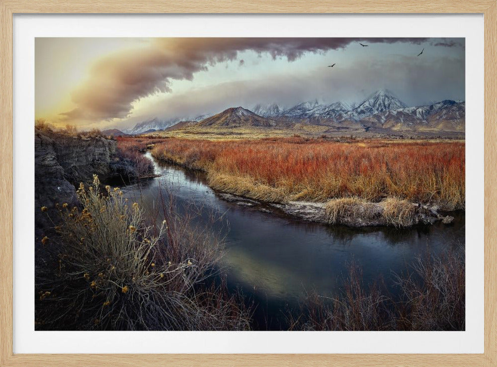 Owens River bei Sonnenaufgang | Poster
