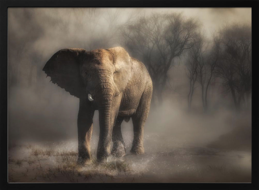 „… ein Elefant trinkt Wasser …“ | Poster