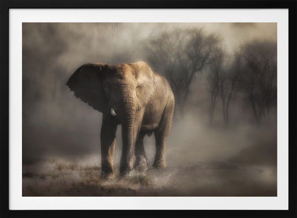 „… ein Elefant trinkt Wasser …“ | Poster